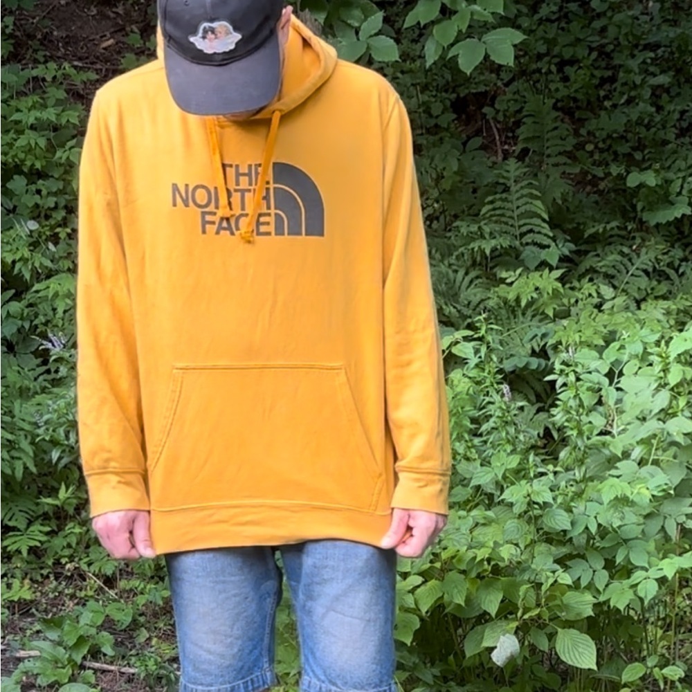 The North Face logo hoodie